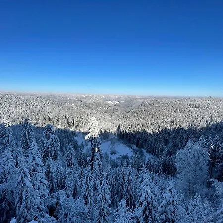 Ferienwohnung Kniebis Am Wald *