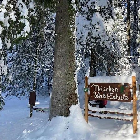 Appartement Ferienwohnung Kniebis Am Wald
