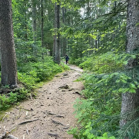 Ferienwohnung Kniebis Am Wald Appartement Freudenstadt
