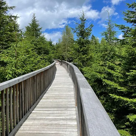 Ferienwohnung Kniebis Am Wald